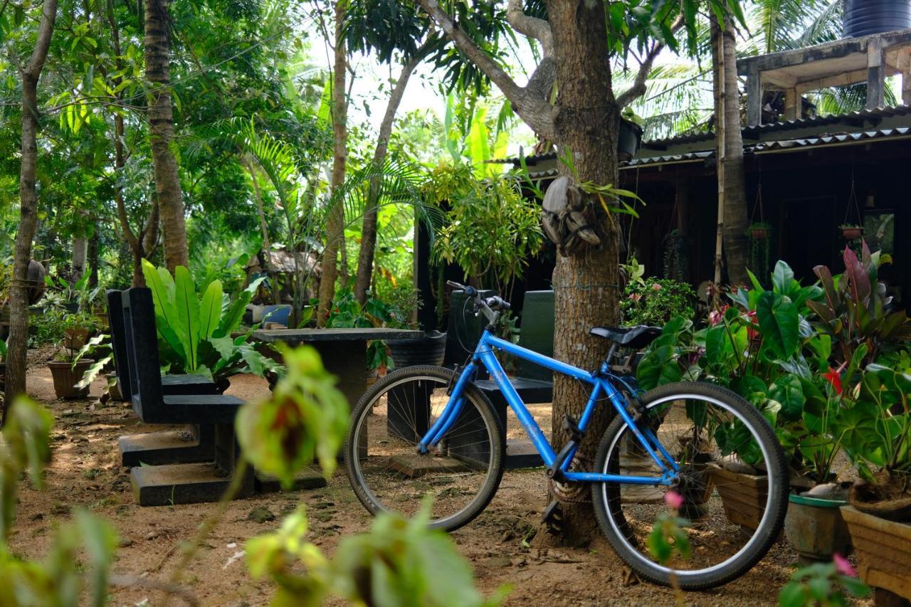 One More Night Hostel Sigiriya Exterior foto